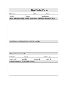 Bird Strike Form