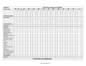 Profit And Loss Statement