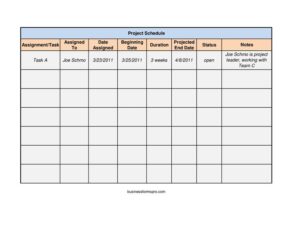 Project Schedule