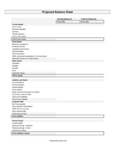 Balance Sheet